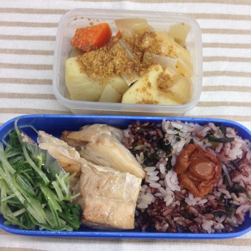 メジマグロ弁当