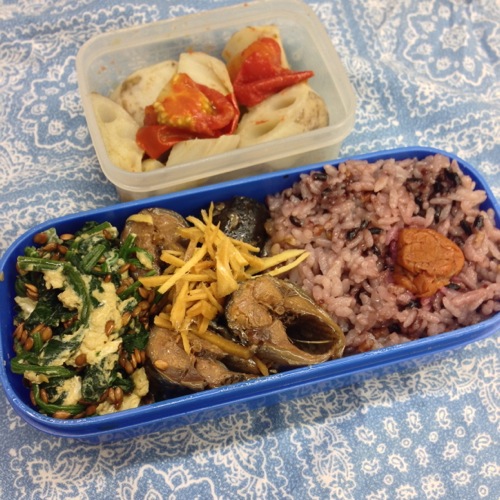 サンマ弁当