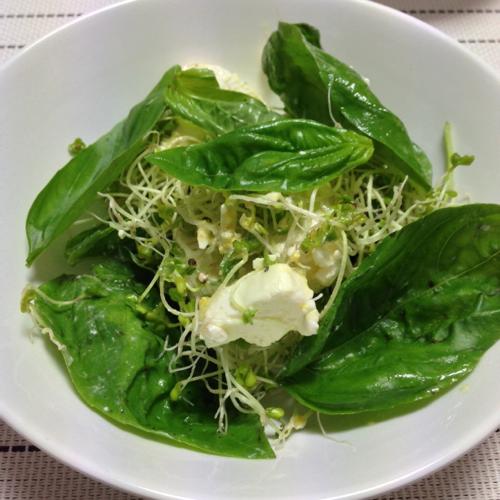 th_チーズサラダ