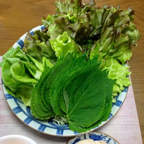 th_サニレタ、エゴマ