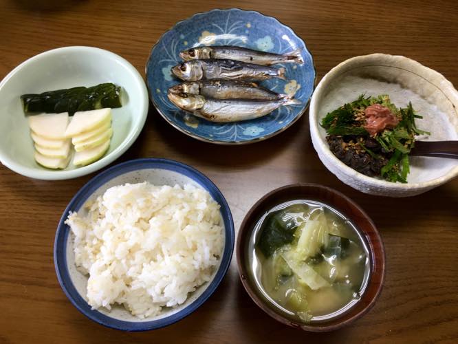 th_マイワシ朝食