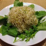 Thumbnail of related posts 145