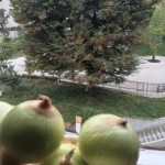 Thumbnail of related posts 001