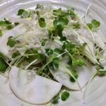 Thumbnail of related posts 149