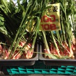 Thumbnail of related posts 156