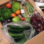 Thumbnail of related posts 127