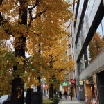 Thumbnail of post image 113
