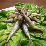 Thumbnail of post image 055