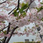 Thumbnail of related posts 098