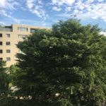 Thumbnail of related posts 033