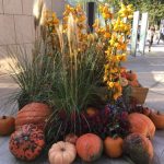 Thumbnail of related posts 056